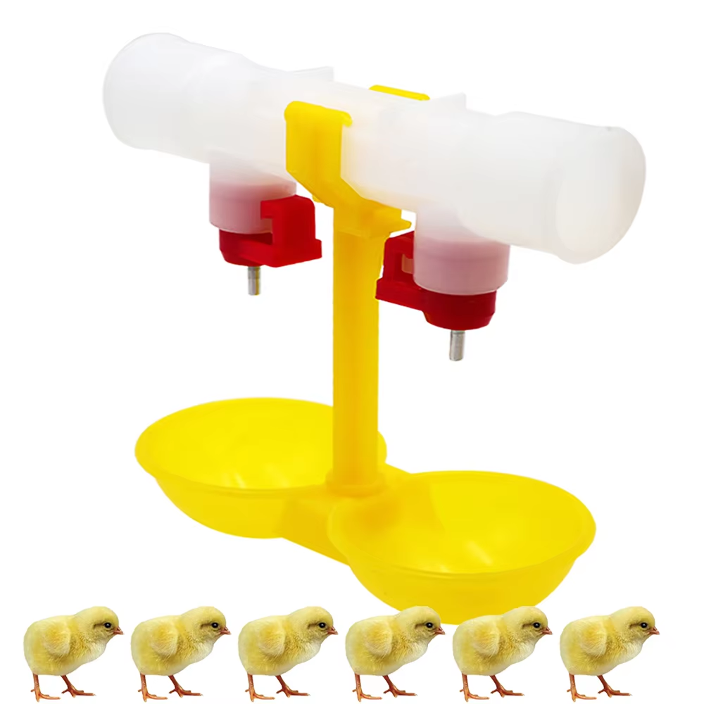 5/10/20Pcs Chicken Double Head - Zwitsal Baby Products ulasan dan harga