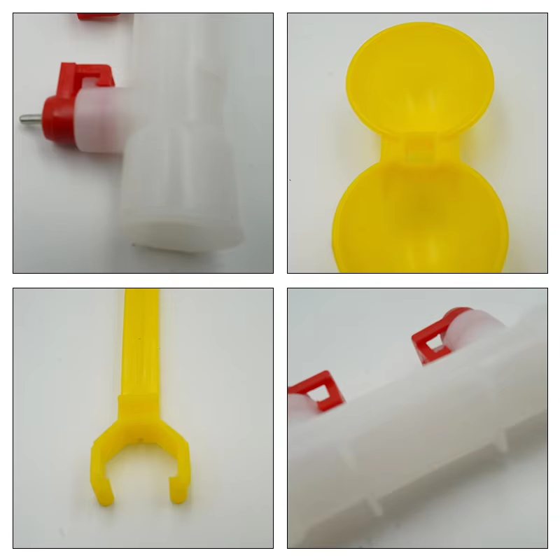 5/10/20Pcs Chicken Double Head - Zwitsal Baby Products ulasan dan harga